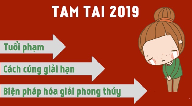 tamtai2019