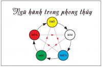 Công Dụng Các Loại Đá Phong Thủy Trong Đời Sống