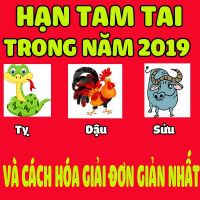 Hạn Tam Tai  Tuổi Sửu, Tuổi Dậu, Tuổi Tỵ Năm 2019 Và Cách Hóa Giải  Đơn Giản Dễ Làm Nhất