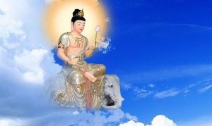 Phật phổ hiền bồ tát - tượng phật phổ hiền bồ tát