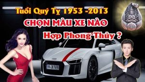 Chọn màu xe ô tô hợp tuổi quý tỵ mang lại may mắn tránh tai nạn cho chủ xe