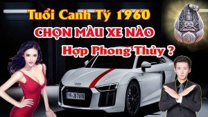Chọn màu xe ô tô hợp tuổi canh tý mang lại may mắn tránh tai nạn cho chủ xe