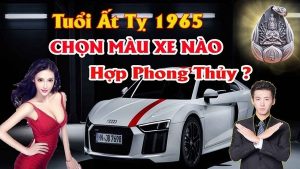 Chọn màu xe ô tô hợp tuổi quý tỵ mang lại may mắn tránh tai nạn cho chủ xe