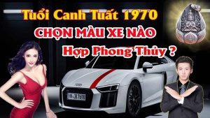 Chọn màu xe ô tô hợp tuổi canh tuất 1970 mang lại may mắn tránh tai nạn cho chủ xe