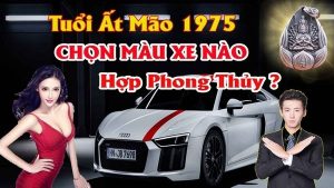 Chọn màu xe ô tô hợp tuổi ất mão 1975 mang lại may mắn tránh tai nạn cho chủ xe