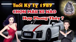 Chọn màu xe ô tô hợp tuổi kỷ tỵ 1989 mang lại may mắn tránh tai nạn cho chủ xe