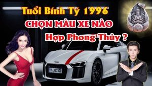 Chọn màu xe ô tô hợp tuổi bính tý 1996 mang lại may mắn tránh tai nạn cho chủ xe