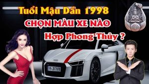 Chọn màu xe ô tô hợp tuổi mậu dần 1998 mang lại may mắn tránh tai nạn cho chủ xe