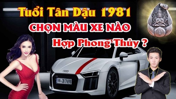 Chọn màu xe ô tô hợp tuổi tân dậu 1981 mang lại may mắn tránh tai nạn cho chủ xe