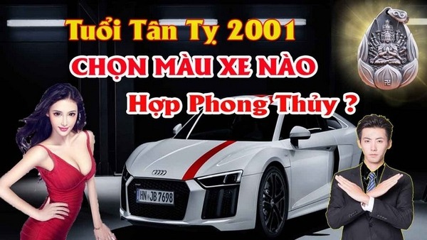 Chọn màu xe ô tô hợp tuổi tân tỵ 2001 mang lại may mắn tránh tai nạn cho chủ xe
